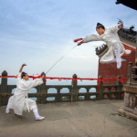 1 Wudang Kung Fu WU XIUJIA  (Medium)